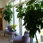 Altes Faehrhaus Hotel 4*